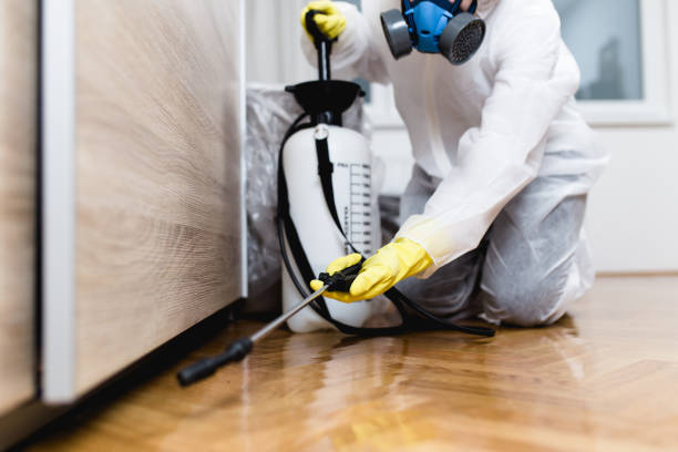 Pest Prevention Services in Belen, NM