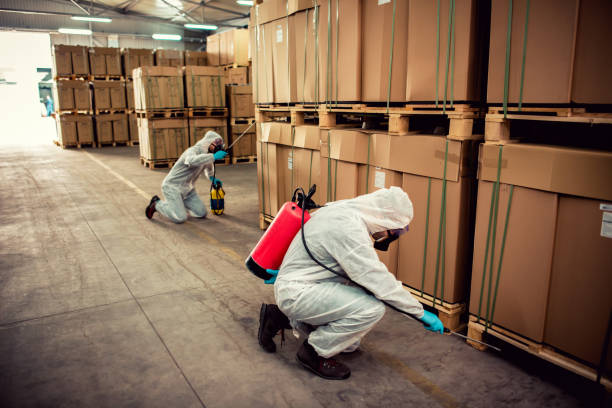 Best Affordable Pest Control Services  in Belen, NM