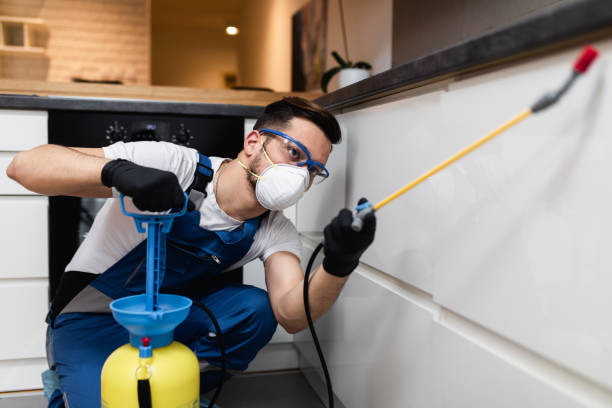 Trusted Belen, NM Pest Control Experts