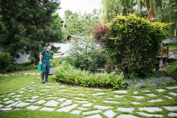 Best Affordable Pest Control Services  in Belen, NM