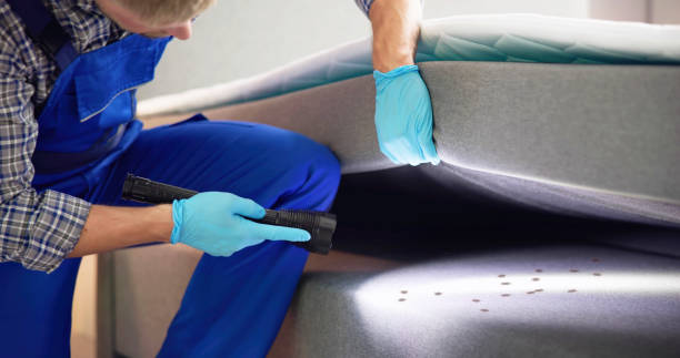 Best Residential Pest Control  in Belen, NM